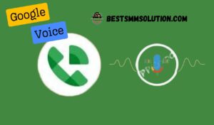 Buy Google Voice Accounts Our Stripe Details and Offers – Email Login Access, Fully complete Profile, High-Quality Service, 24/7 Customer Support, 100% Satisfaction & Recovery Guaranteed.